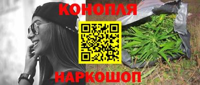 гашик Берёзовский