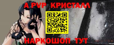 гашик Берёзовский