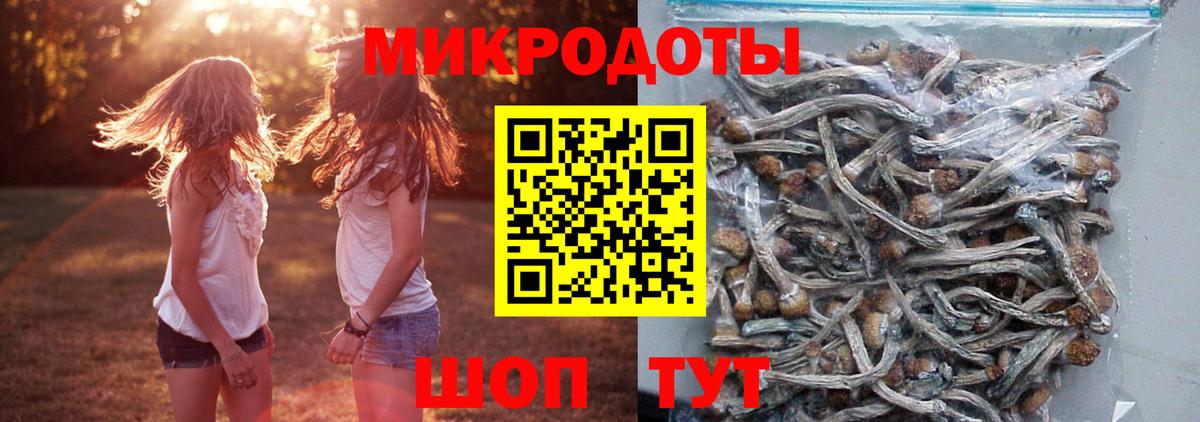 Галлюциногенные грибы Magic Shrooms  Вход с VPN  Гуково  Псилоцибиновые грибы Cubensis 